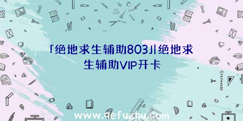 「绝地求生辅助803」|绝地求生辅助VIP开卡